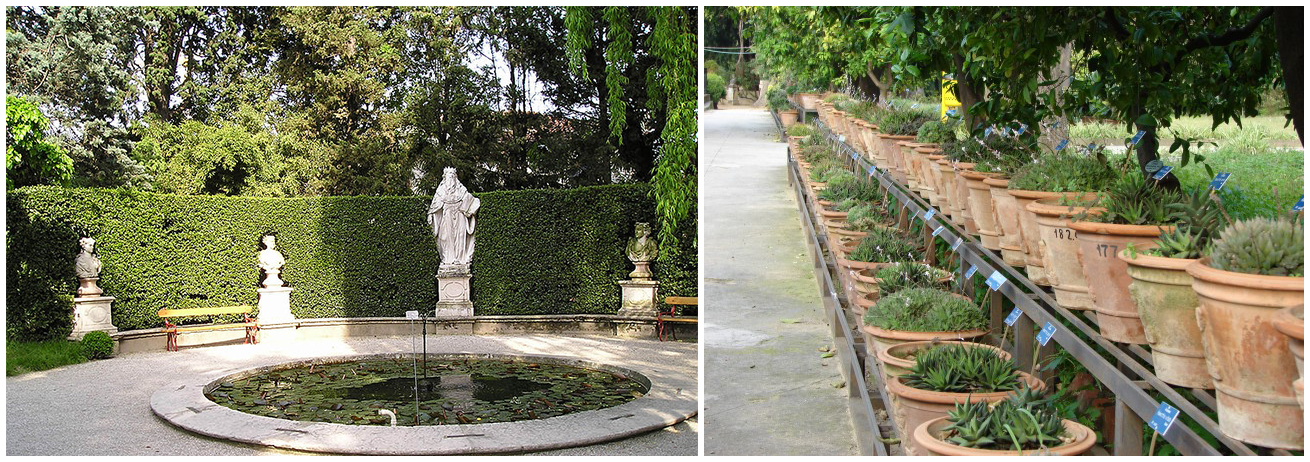 Ботанический сад Орто Ботанико
