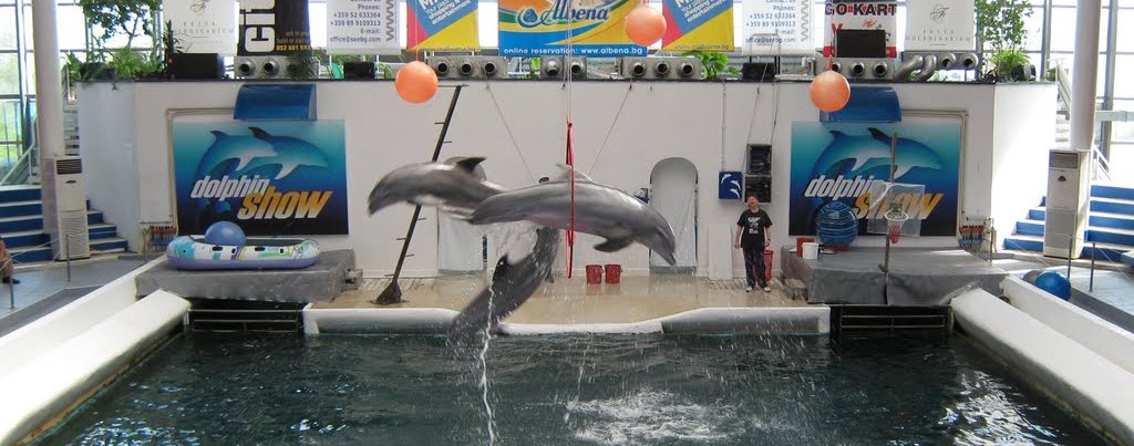 Болгария, Варна, дельфинарий