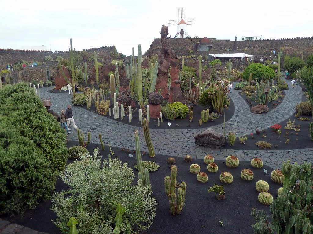 Сад кактусов Jard&Iacute;n de Cactus