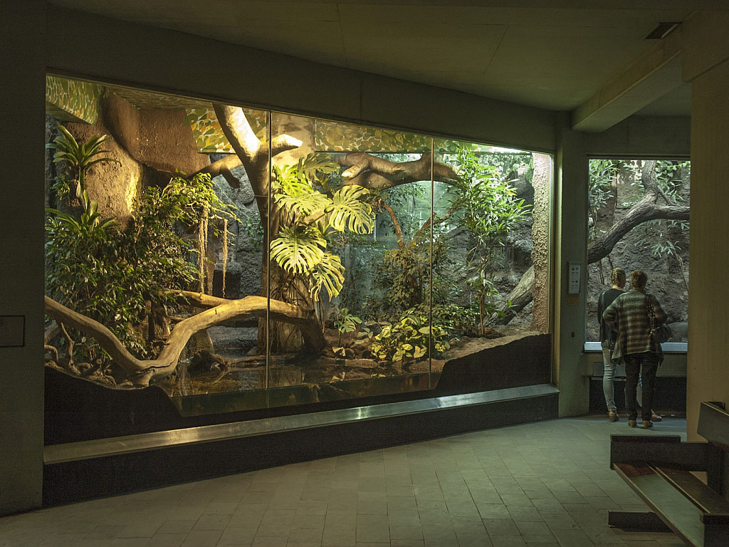 Зоологический сад и аквариум в Тиргартен, Берлин