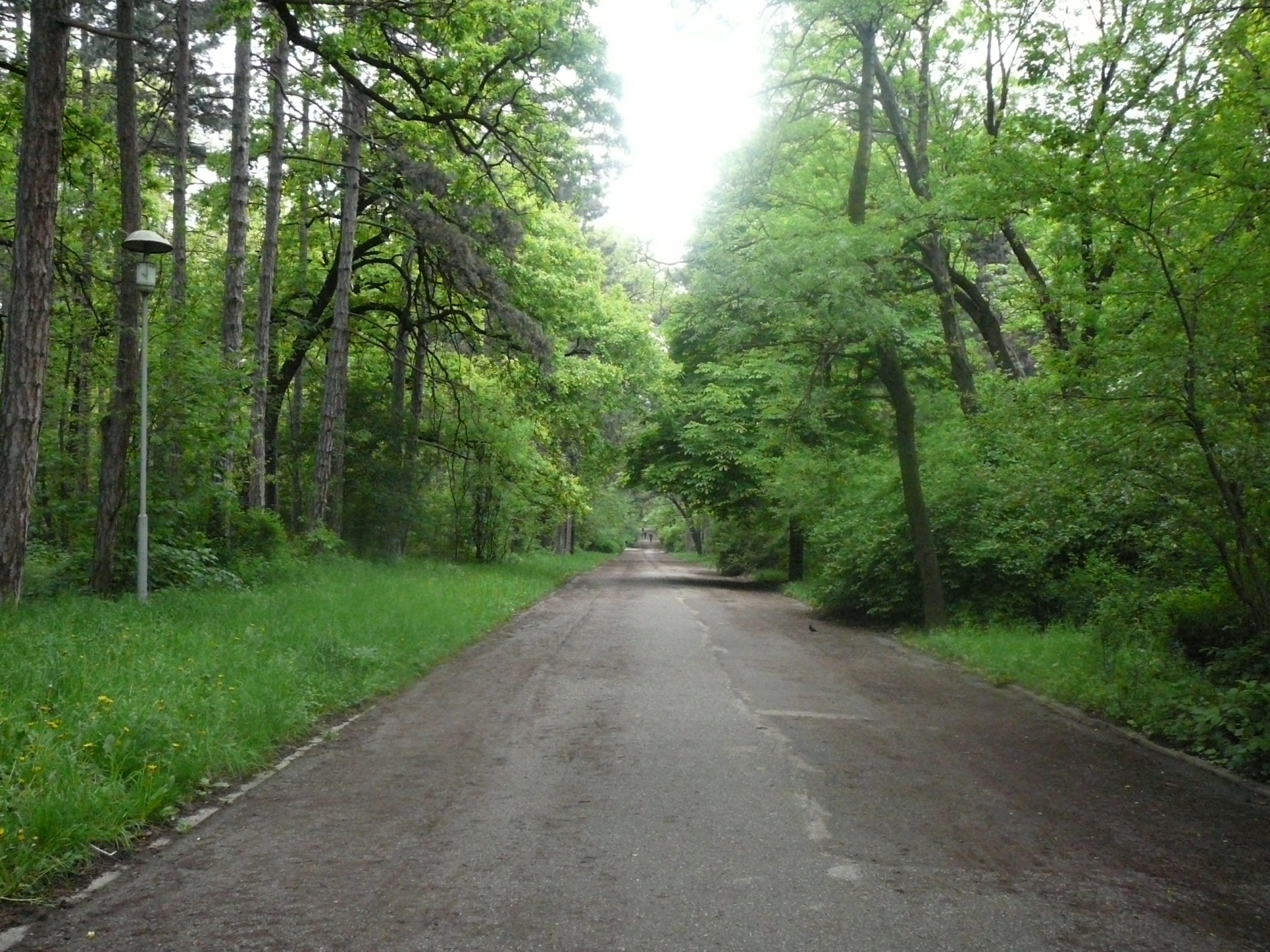 Борисов сад, Болгария